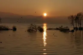 黎明时分，太阳升起，万物苏醒过来，鸟儿也被唤醒视频封面