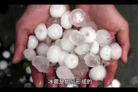 衡阳今天的天气真的让人匪夷所思#极端天气 #冰雹袭击 #冰雹雨视频封面