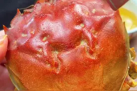 #秋天围炉煮蟹太安逸了 #精品大闸蟹 #螃蟹🦀 #谁懂这一口的好吃程度 #吃螃蟹视频封面