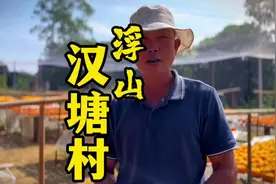 所谓一方水土养一方人，当然，也养一方产物，浮山柿饼历史悠久视频封面