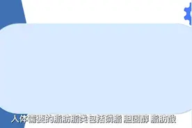 肝脏的主要功能视频封面