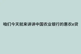 农行的惠农e贷