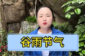 谷雨节气 今年夏天热不热就看明天谷雨啦！#谷雨 #二十四节气 #老祖宗的智慧