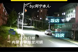 熊出没夜袭小镇 深度后续| 宁静的夜晚小镇闯入“不速之客”，黑熊是有备而来，还是误打误撞？#监控下的一幕 #野生动物零距离 #惊悚 #呼伦贝尔 #注意防范视频封面