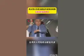民众党公布政治献金风波惩处结果，黄珊珊遭停权3年视频封面