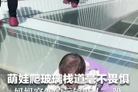 萌娃爬玻璃栈道毫不畏惧，妈妈突然的运镜吓人一跳。视频封面
