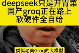 deepseek只是开胃菜！国产类groq大模型将推翻英伟达！#deepseek #groq #寒武纪视频封面