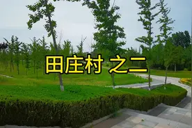 田庄村 之二    田庄村旧址变化太大了 鲜花绿植 层林尽染视频封面