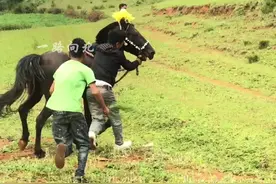 上马前是孩子，上马后是汉子，父亲负责扶儿上马压制烈马，往后的路就要靠你自己，#马背上的民族视频封面