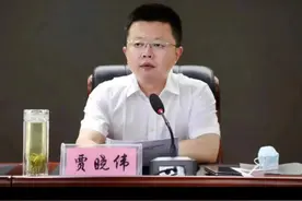 县长贾晓伟，任上被查视频封面