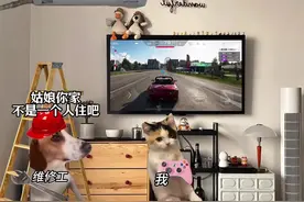 男人何苦为难男人 #情侣 #情侣日常 #猫咪表情包 #恋爱日常 #恋爱视频封面