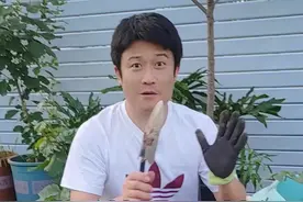 西红柿番茄种植新方法，简单好用，同时黄瓜，西瓜，秋葵种植，在一起的方法#阳台种菜 #阳台盆栽 #种植教程 #种植小技巧 #番茄种植方法视频封面