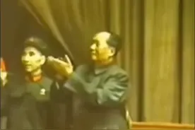 那个时候我们才几岁视频封面