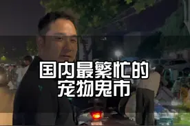 国内最繁忙的宠物鬼市，日交易上万只。有一起看看都有什么好狗！#宠物鬼市 #宠物视频封面