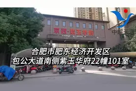 合肥市肥东经济开发区包公大道南侧紫玉华府22幢101室视频封面