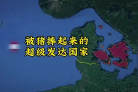 被猪捧起来的，超级发达国家，居然是丹麦#丹麦 #发达国家视频封面
