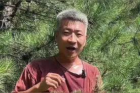 松树叶子可以做出“雪碧”？古代人也太有智慧咯 据说在古代，用松针和白糖就能做出“雪碧”汽水饮料，夏天解暑必备…#我的乡村生活 #大自然的馈赠 #松针汽水 #自制饮品 #2024新农人计划