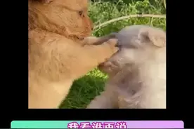 #巴黎奥运会 巴黎含中量百分之百#地图#巴黎有自己的汉语角视频封面