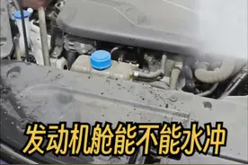 发动机舱能不能水冲？ 只要别做热车去冲，别对着进气口冲没问题#每天一个用车知识 #洗车 #汽车知识 #人生第一辆车 #逸动plus