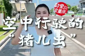 重庆空中行驶的“猪儿虫”#重庆dou知道 #8d魔幻山城重庆 #科技感爆棚 #总要去趟重庆吧视频封面