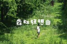 用绿色给大家洗洗眼睛！#黄海森林公园  #摄影 #拍照的意义 #绿色视频封面