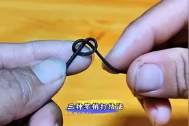 加强款竿稍结绑法#主线连接竿稍 #钓鱼新手必学 #钓鱼人视频封面