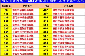 湖北省各地级市2023年“全国千强镇”上榜乡镇一览表。视频封面