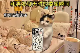 和男友聊天时的委屈瞬间 #被迫营业的猫猫 #情侣日常 #情侣视频封面