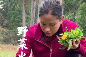 孕中期胃口是不是都会不怎么好？今天到地里找些野菜，以野菜做火锅的主角，真是一口就打开了味蕾#农村生活 #春天的味道视频封面