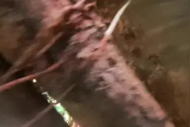 广福寺 地理位置 江西省赣州市通天岩 地图信息TA说参考资料视频封面