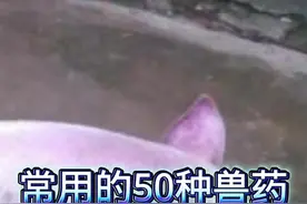 《常用的50种兽药》 14、硫酸黏菌素，猪、禽类治拉稀效果非常好，一定要学会用它！#创作灵感 #养猪人 #兽医 #兽药 #养猪视频封面