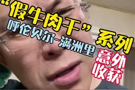 “假牛肉干”系列…呼伦贝尔-满洲里“意外收获”你细细的品…#打假 #维权 #满洲里 #牛肉干 #食品安全视频封面