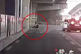 3月17日，山东济南，老人路口摔倒无助坐在地上，暖心司机下车帮忙扶起：人都有老的一天，传统美德还是应该发扬下去！#厚道齐鲁地美德山东人 #点赞山东 #暖心瞬间视频封面