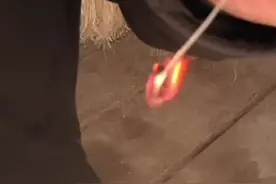 一看二烧 简单两步辨别真假红薯粉！“纯红薯粉条色泽亮丽 烧完啥也没有！”#红薯粉 #科普 #原创 #社会百态 #生活视频封面