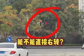 老司机都来看看，圆形红灯能不能直接右转？#红绿灯路口 #每天一个汽车知识视频封面
