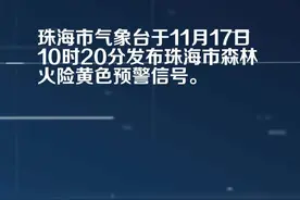 珠海市气象台发布森林火险黄色预警[III级/较重]视频封面