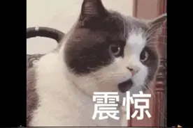 AI黑科技与电竞人的正面交锋打响了！#狼队跳舞比宇树机器人更像人机视频封面