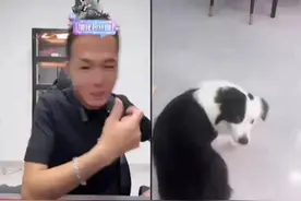 老妹儿真犟啊 #潘宏训狗名场面大赏 #潘宏 #直播录屏分享