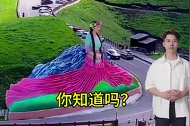 甜蜜背后的坚守：探寻那拉提养蜂女的故事，了解她的传奇人生。视频封面