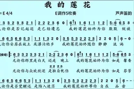《我的莲花》E调动态简谱伴奏#动态谱 #伴奏 #竹笛演奏