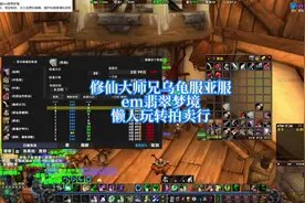 乌龟服亚服，插件分享：懒人玩转拍卖行#魔兽世界 #乌龟服视频封面