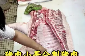 解压猪肉分割 猪肉分割，缓解压力，释放一下压力。介绍猪肉各部位名称知识！教年轻人认识猪肉！#阿浩教你选猪肉 #猪肉分割技巧 #猪肉 #教年轻人认识猪肉 #现场实拍视频封面