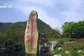 微视频丨绿水青山映初心#绘就美丽中国新画卷视频封面