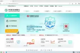 浏览器版本不兼容微软 Edge 浏览器无法打开农行企业网银怎么办？