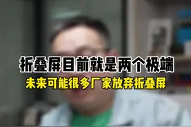 一枝独秀不是春百花齐放春满园#折叠屏 类目目前销售堪忧视频封面