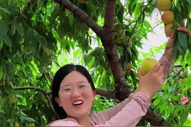 家里的桃子熟啦，又大又甜，小时候觉得农村的生活枯燥乏味，长大了才知道，比起诗和远方，更喜欢这人间烟火，朴实平淡的日子#桃子熟了 #我的乡村生活 #新鲜采摘 #记录真实生活视频封面