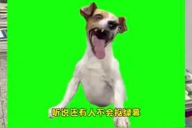 猫meme绿幕素材如何抠像？教程来啦#猫meme小剧场 #沙雕动画 #内容过于真实 #绿幕素材 #剪辑教程视频封面