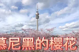 七绝·樱花吟 作者：静水  粉黛山樱飞满目， 随风舞瓣拂花枝。视频封面