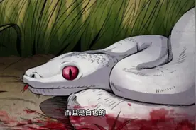 保家仙，大长虫#民间故事 #悬疑 ##人物故事 #奇闻奇事 #原创视频视频封面