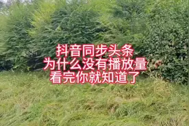 抖音同步头条，为什么没有播放量？看完就知道了。#原创视频视频封面